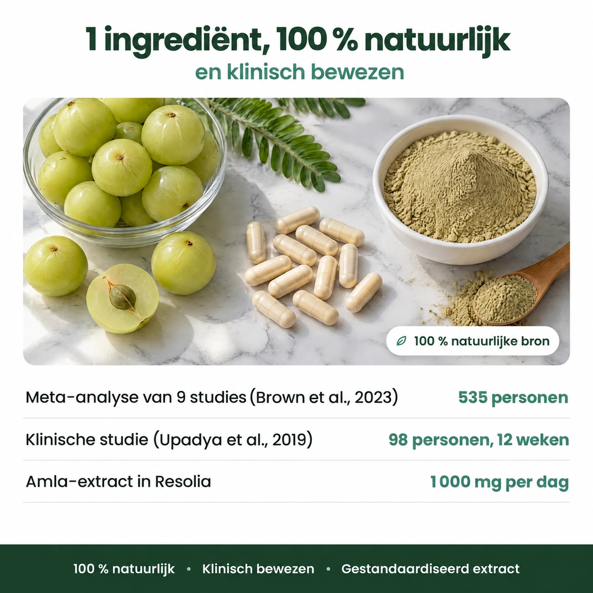 Amla Superfruit Capsules