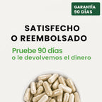 Cápsulas de Amla Superfruta